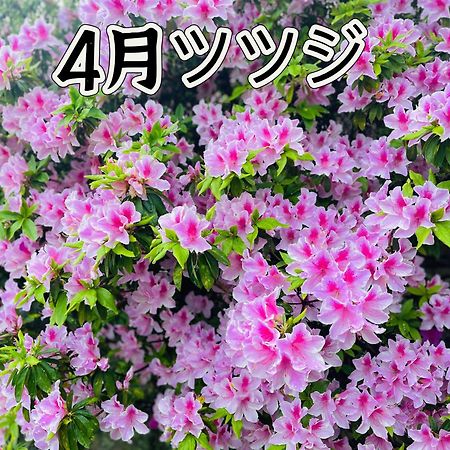 伊都山海渓 Itoshima Luaran gambar