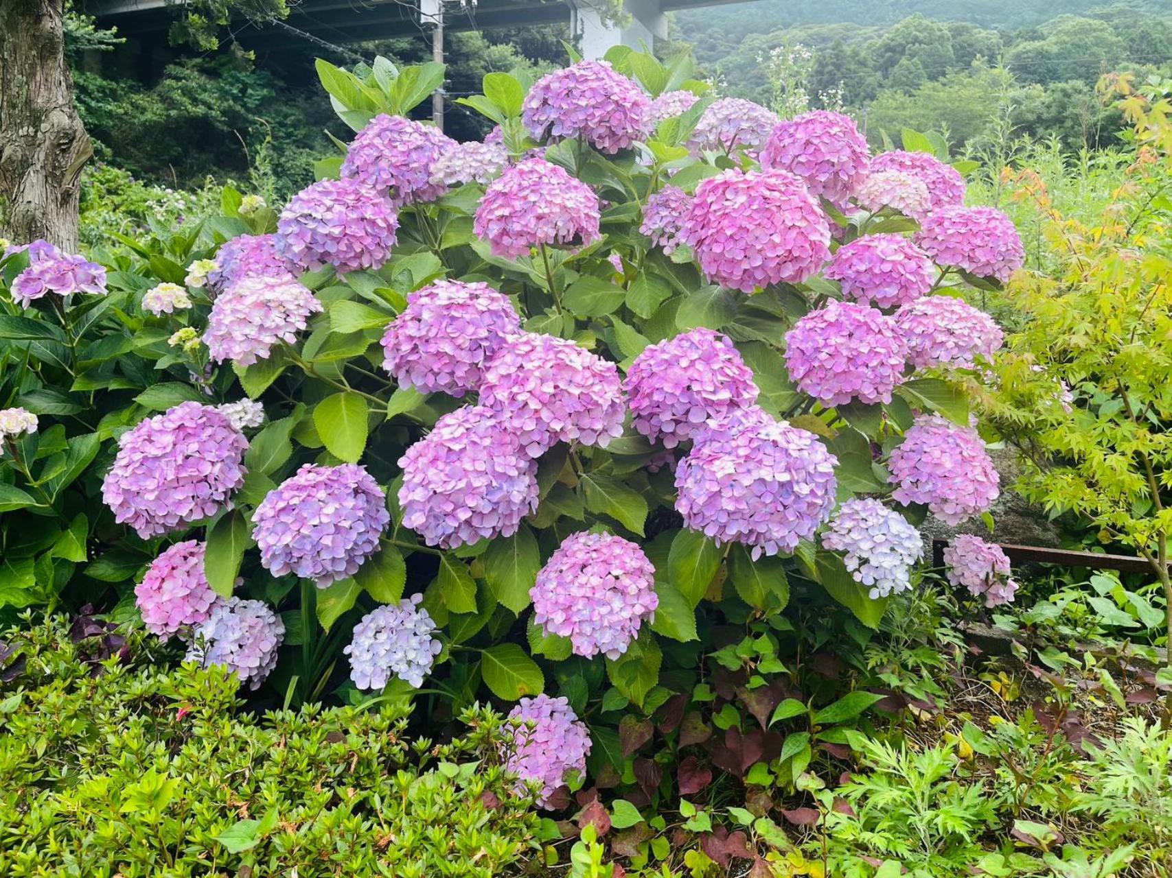 伊都山海渓 Itoshima Luaran gambar