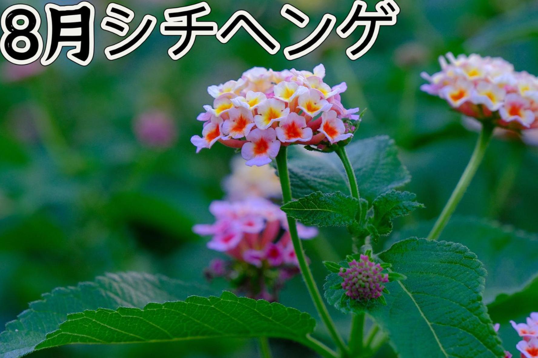 伊都山海渓 Itoshima Luaran gambar