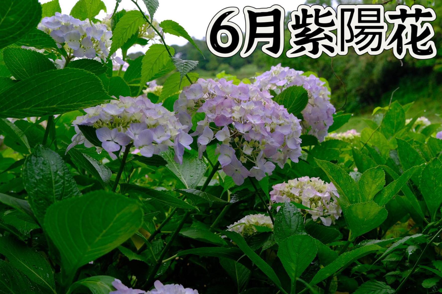 伊都山海渓 Itoshima Luaran gambar