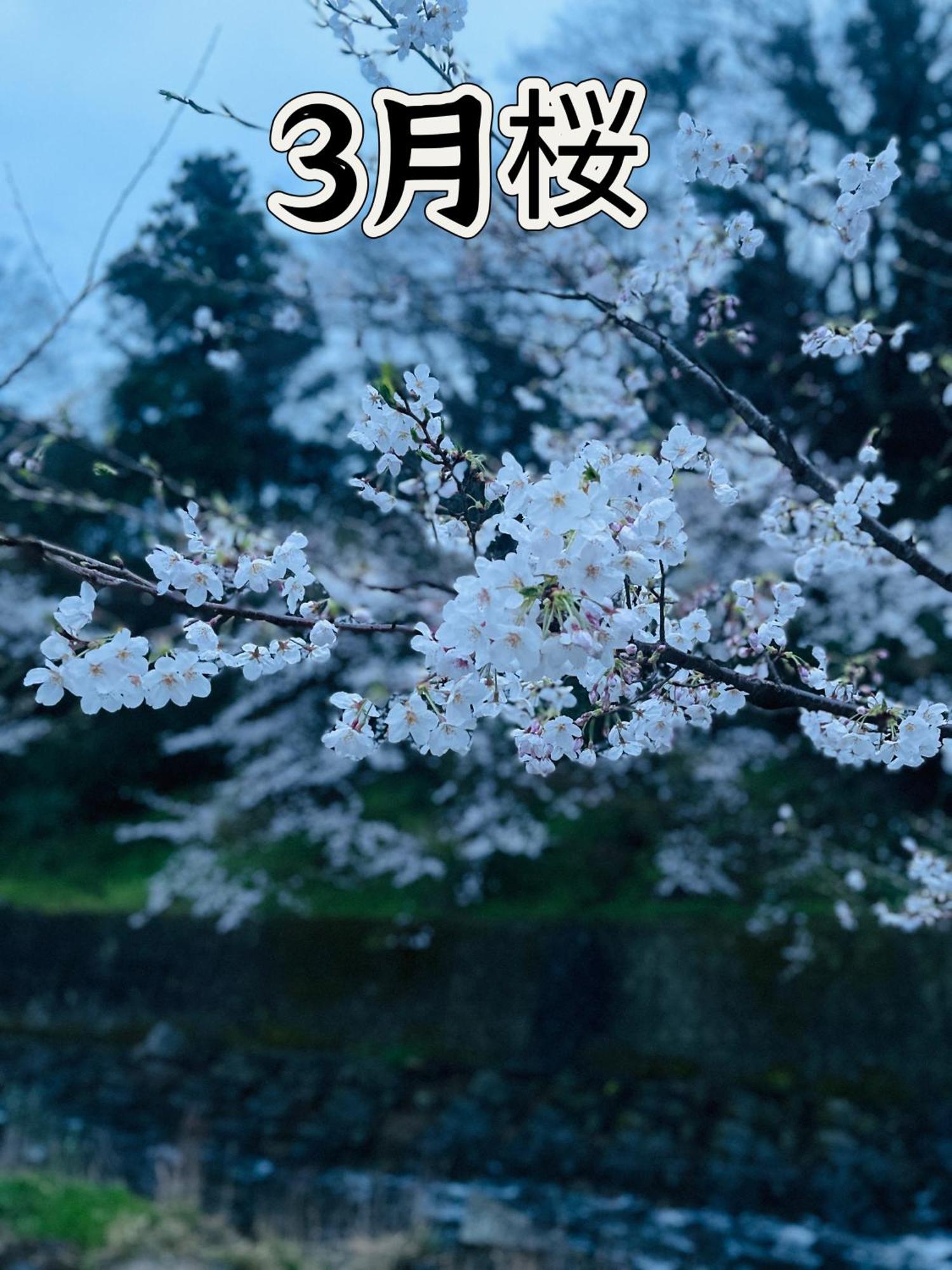 伊都山海渓 Itoshima Luaran gambar