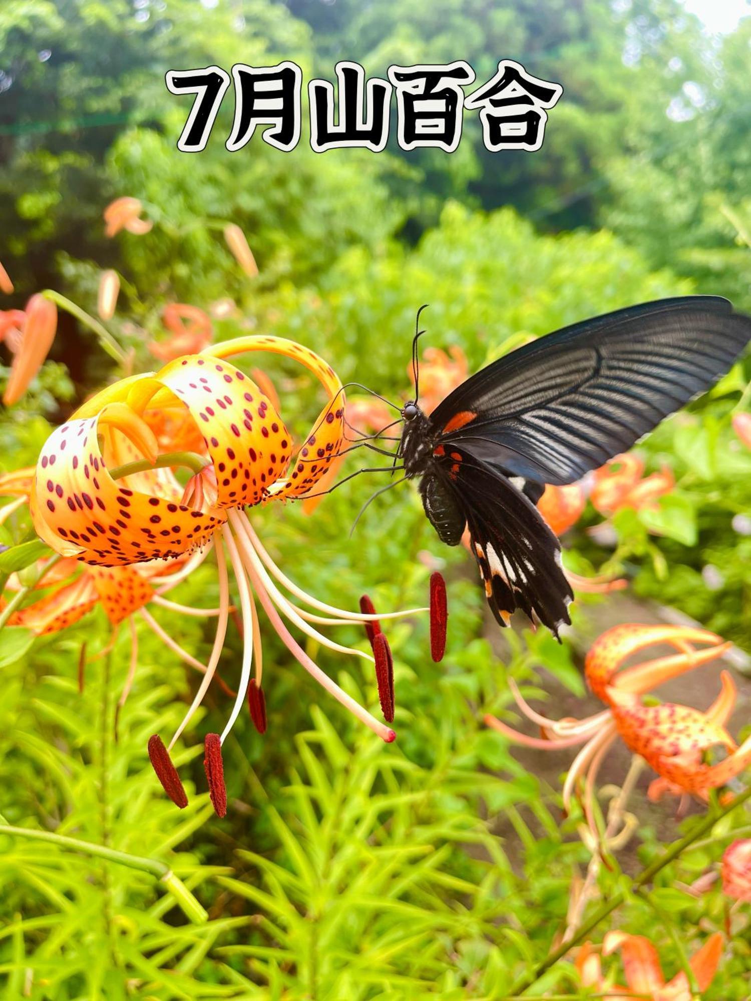 伊都山海渓 Itoshima Luaran gambar