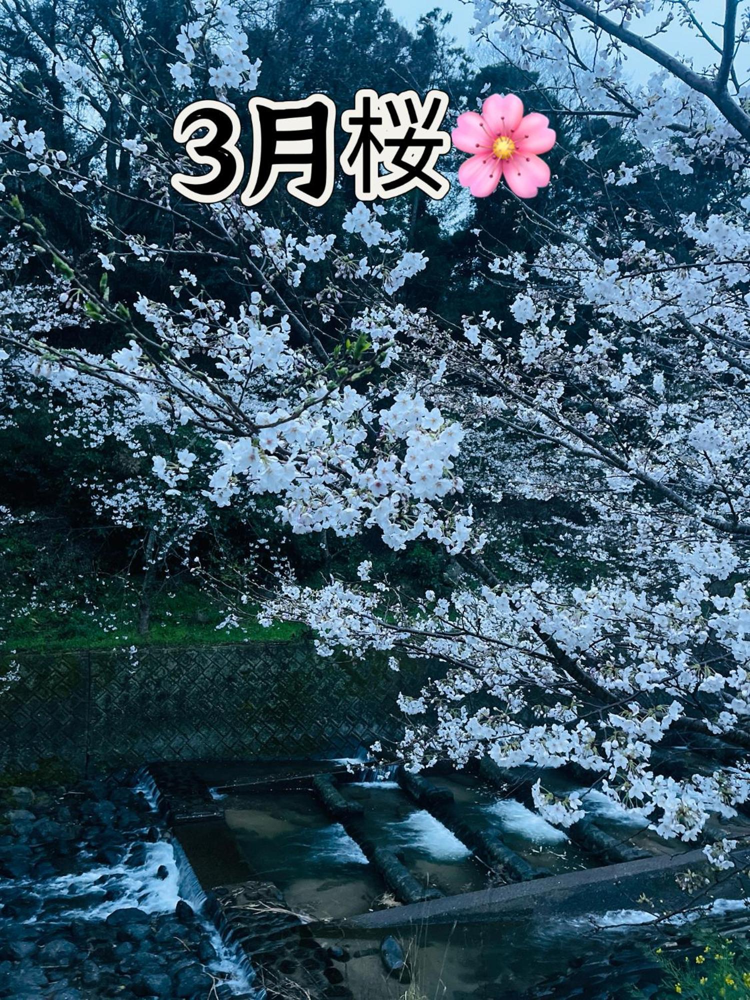 伊都山海渓 Itoshima Luaran gambar