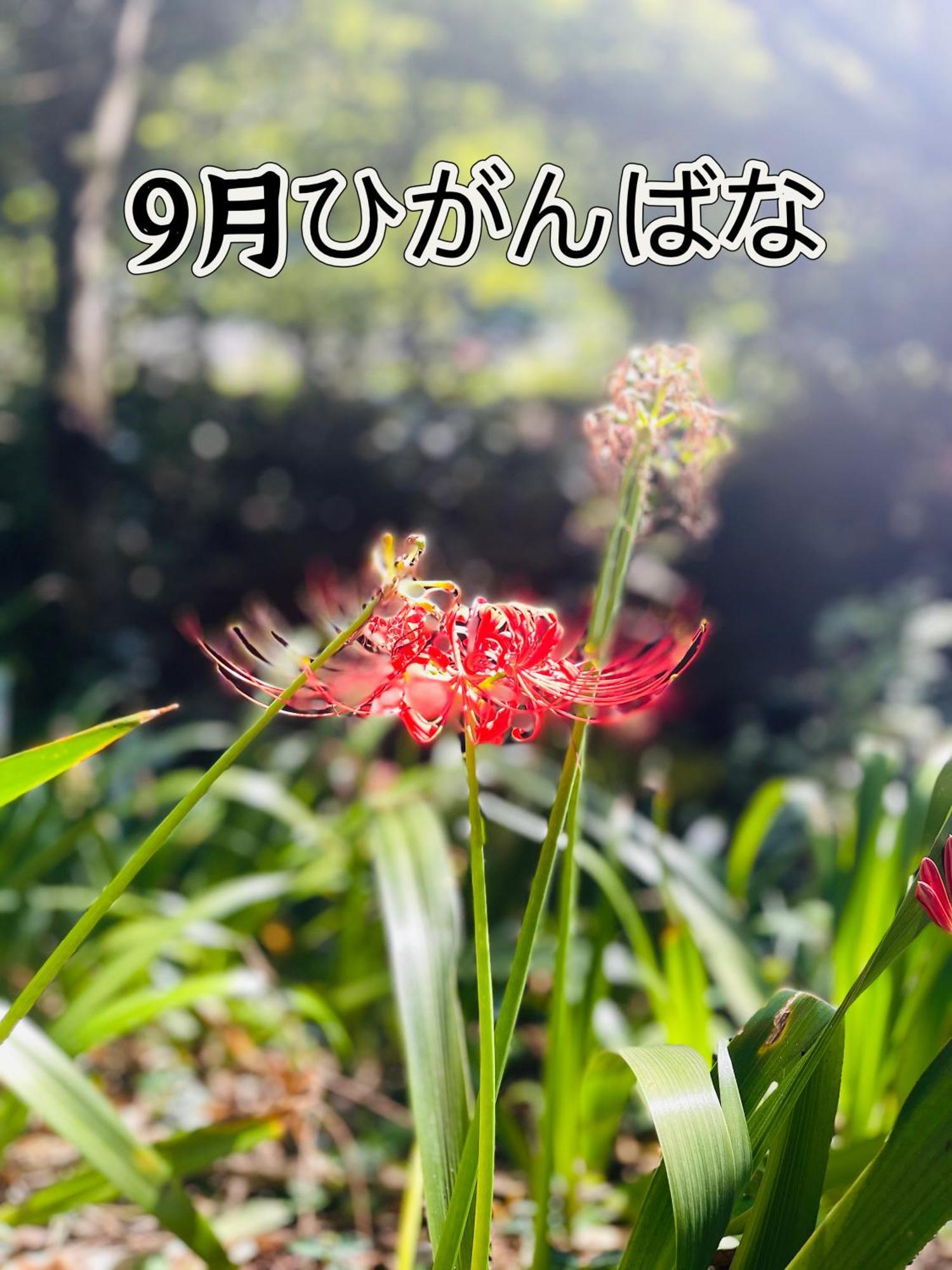 伊都山海渓 Itoshima Luaran gambar