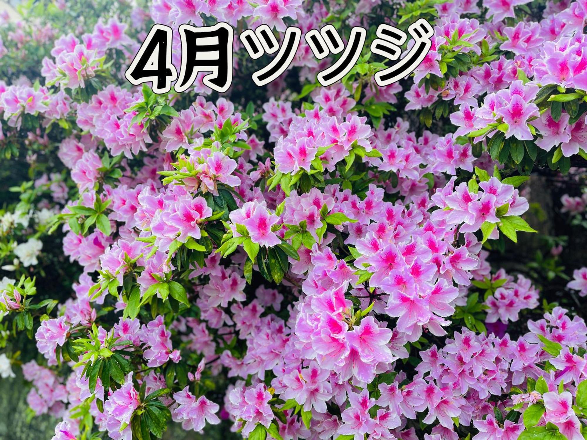 伊都山海渓 Itoshima Luaran gambar