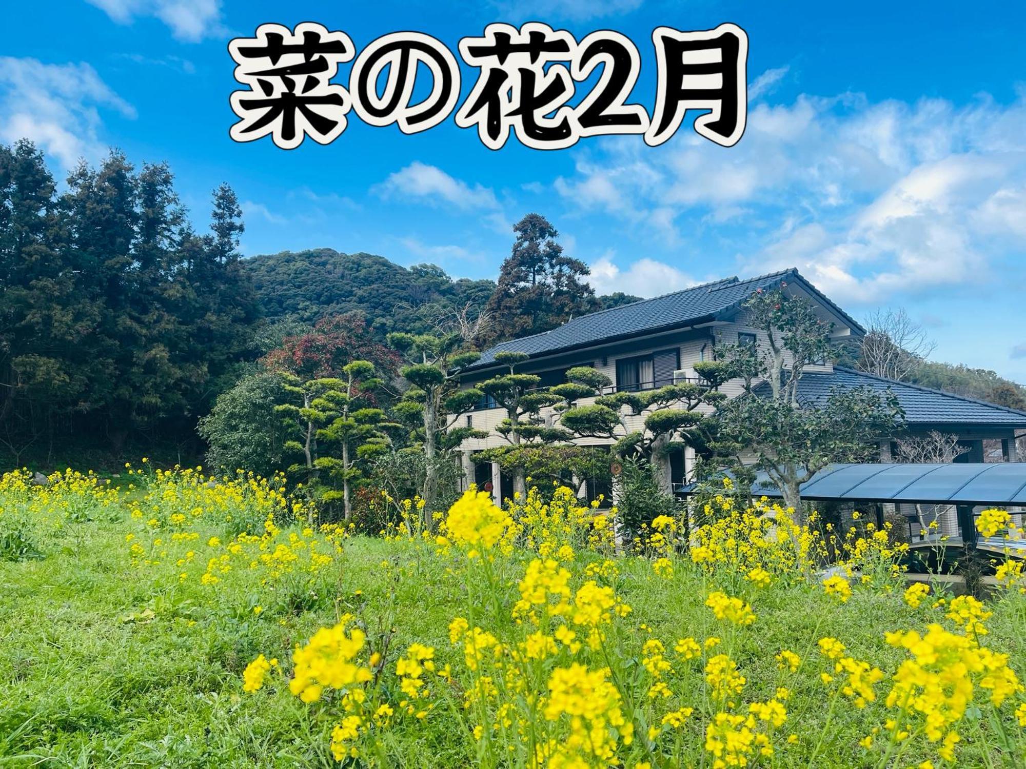 伊都山海渓 Itoshima Luaran gambar